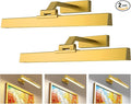 Afyuol Picture Lights for Wall, Battery Operated Picture Light 16in Art Light by Afyuol