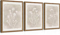 Framed Boho Botanical Flower Wall Art Set of 3, Vintage Minimalist Neutral by Unknown