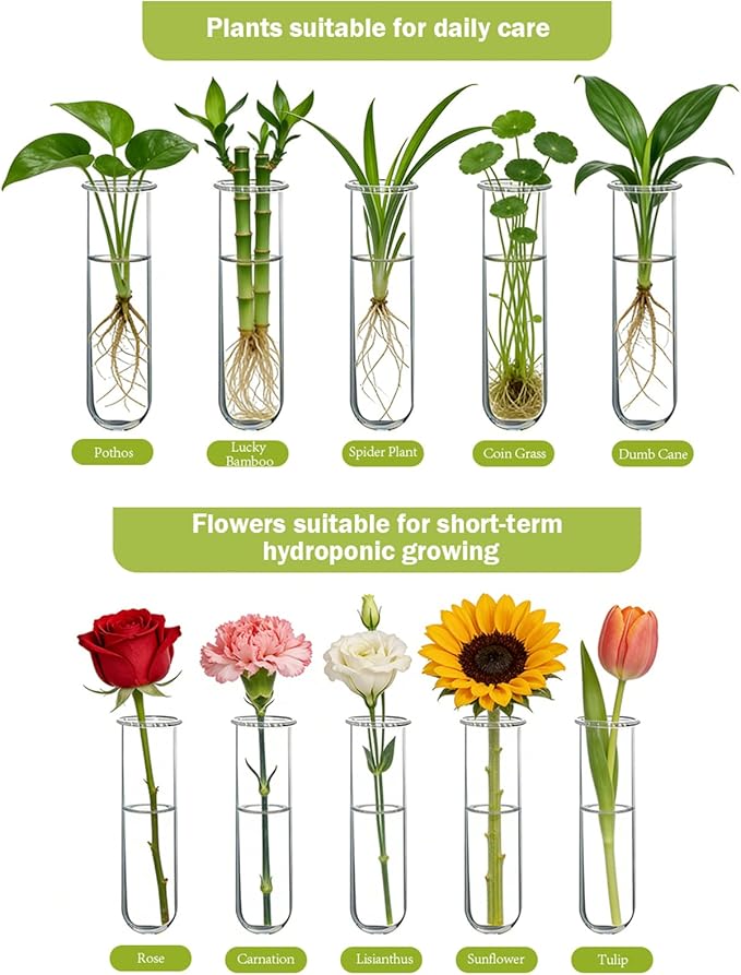 XXXFLOWER Wall Hanging Propagation Station - Image 5