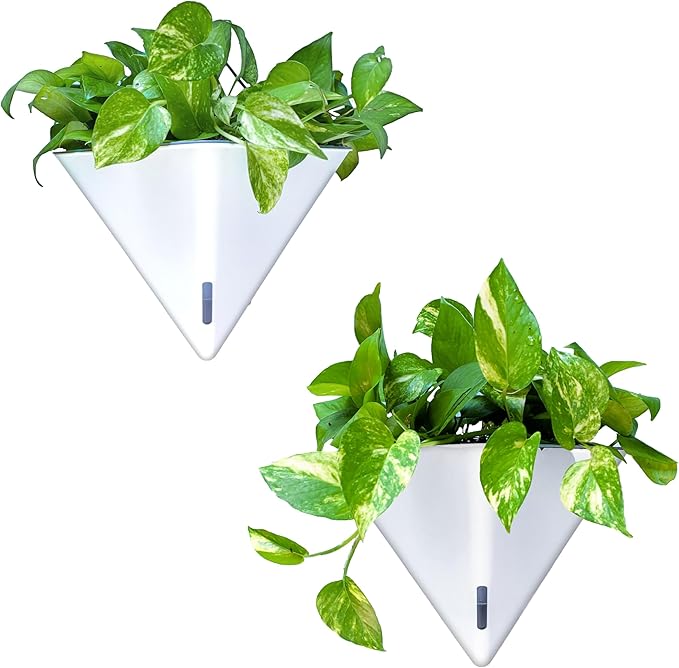 LaLaGreen Wall Planters for Indoor Plants by L%C3%A1L%C3%A1Green