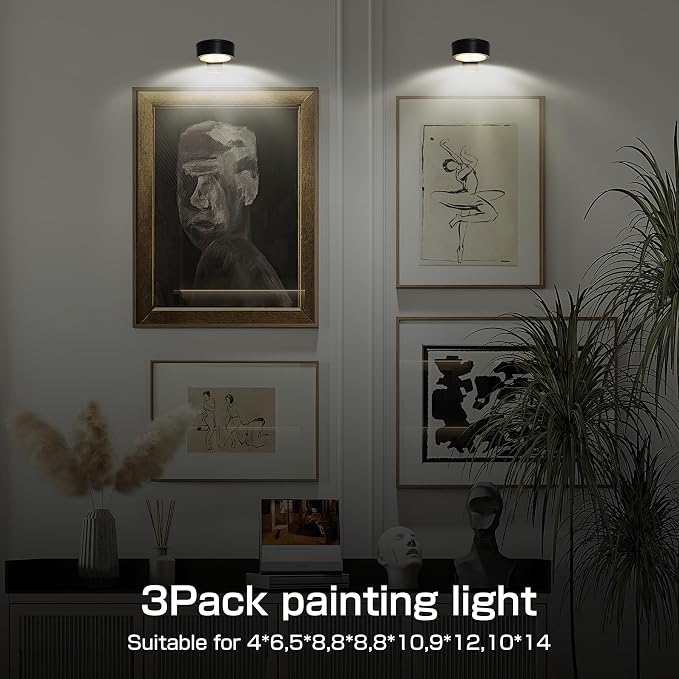 2-Pack Picture Light for Paintings Battery Operated Art Light - Image 4