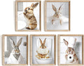Vodefoad Funny Bunny Bathroom Wall Art 5pcs Bundle Easter Rabbit Posters Animal by VodefoadVintageWallArt