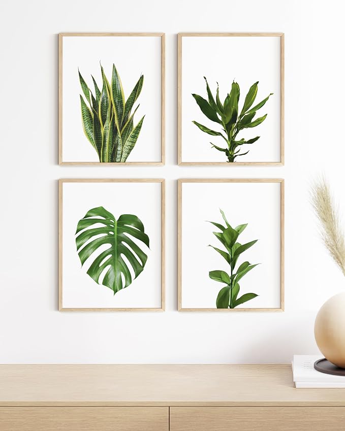 HAUS AND HUES Plant Photo Set of 4-8x10 - Image 4