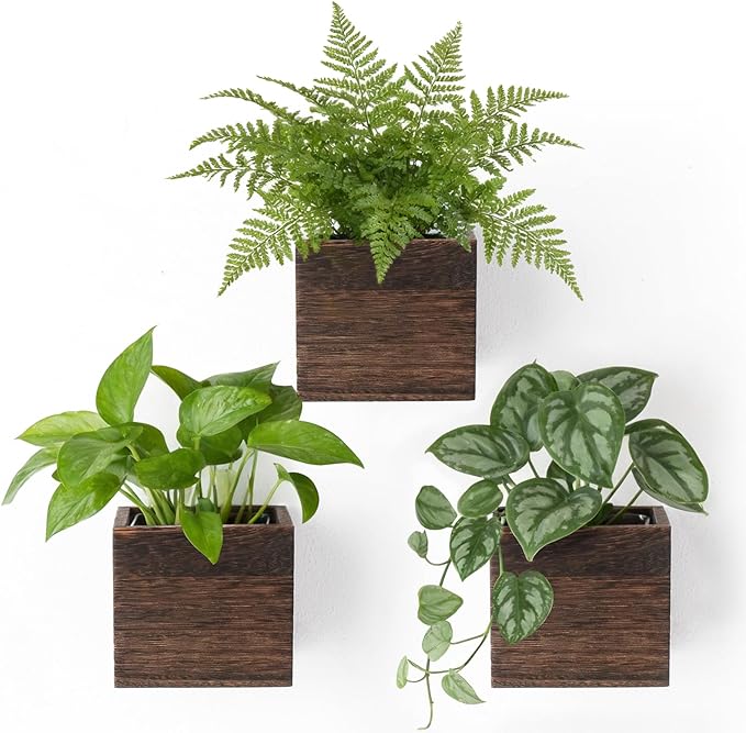 Dahey Small 4 Inch Wood Wall Hanging Planter Boxes by Dahey