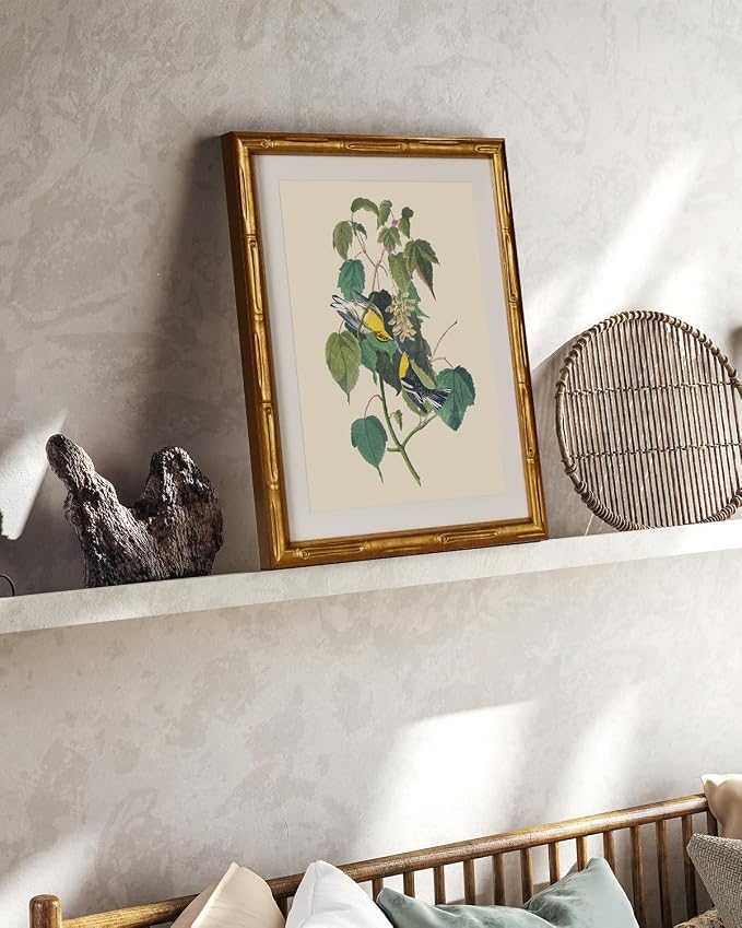 InSimSea Gold Bamboo Framed Canvas Wall Art, Vintage Bird Botanical Paintings - Image 7