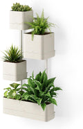 Umbra Cubiko Wall-Mount Planter by Umbra