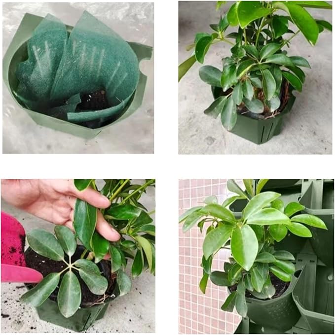 36 Pockets Living Wall Planter Indoor, Self Watering Wall Hanging Planters - Image 5