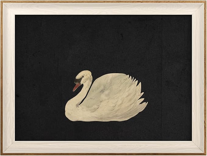 VIYYIEA Framed Wall Art for Living Room, Swan Art Canvas Prints, Vintage Home by VIYYIEAART