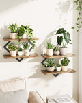 Bamworld Floating Shelves for Wall Planters for Indoor Plants Hanging Shelves by Bamworld