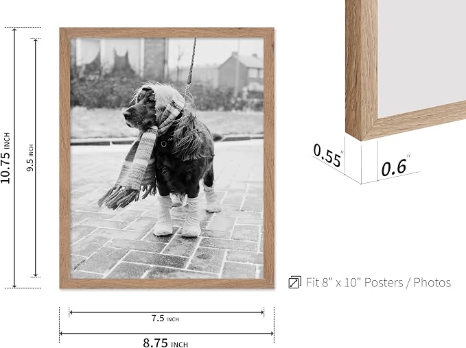 Poster Master Vintage Dog Dressed - Image 3