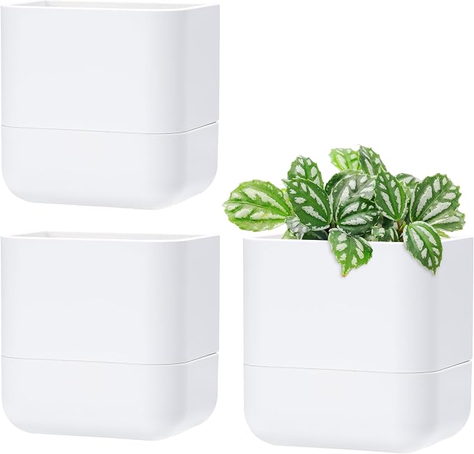 Phoenix Vine 6.5 Inch Wall Mounted Self-Watering Planter Pot by Phoenix+Vine
