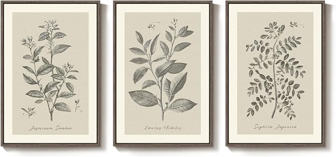 Framed Vintage Botanical Wall Art, 3 Piece Neutral Floral Plants Canvas - Image 8