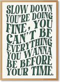Green Wall Art Pop Music Vienna Lyrics Poster Slow Down Youre Doing Fine Canvas by Unknown