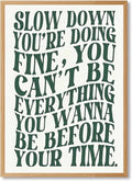 Green Wall Art Pop Music Vienna Lyrics Poster Slow Down Youre Doing Fine Canvas by Unknown