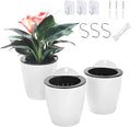 3 Pack Self Watering Wall Hanging Planter Pots Vertical Garden Window Hang by OrimercGarden