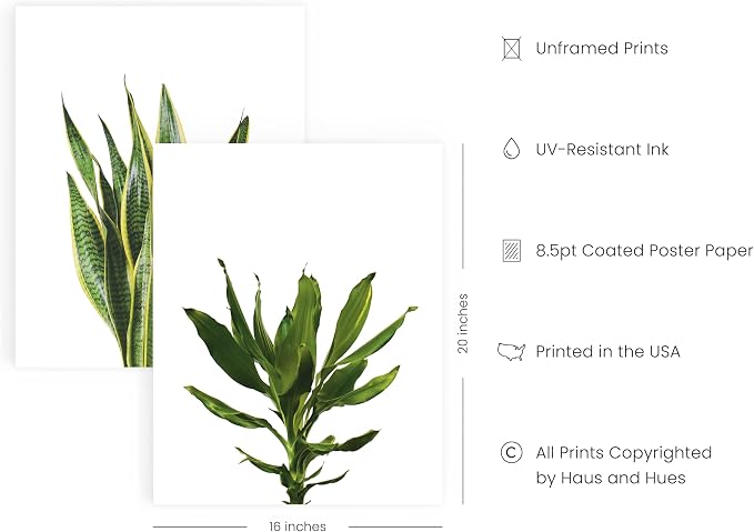 HAUS AND HUES Plant Wall Art - Image 2