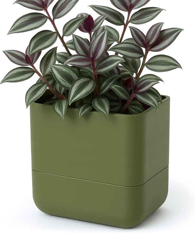 Phoenix Vine 6.5 Inch Wall Mounted Self-Watering Planter Pot by Phoenix+Vine