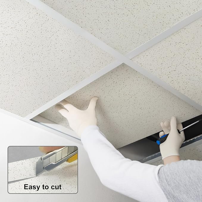 2ft x 2ft Printed Pro Ceiling Tiles - Image 7