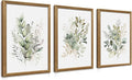 WRFON Framed Sage Green Botanical Wall Art Set of 3, Watercolor Eucalyptus & by Unknown