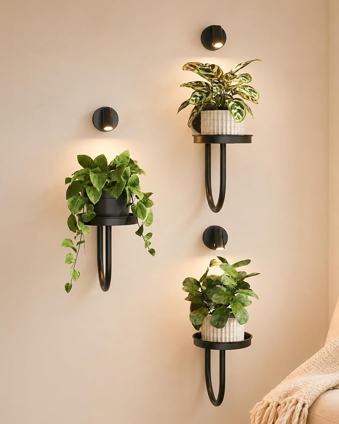 Bamworld Wall Decor Plant Stand by Bamworld