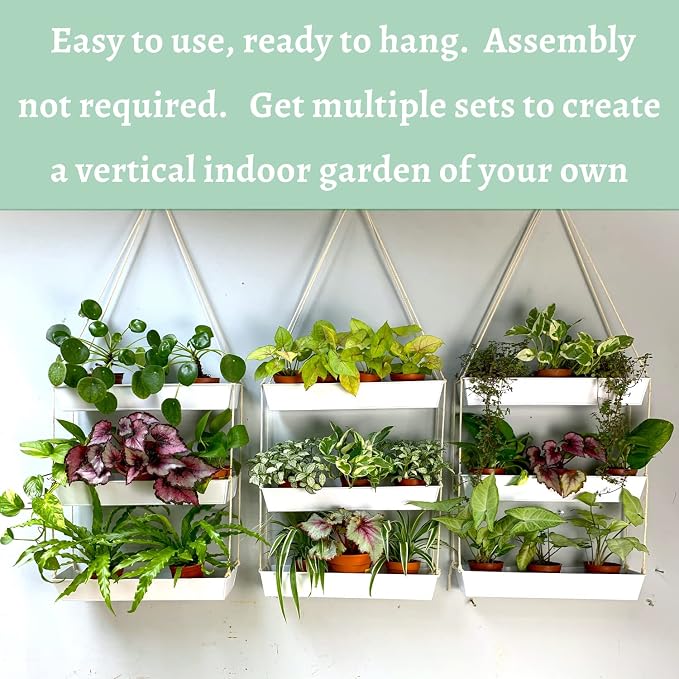 LaLaGreen Hanging Wall Planter - Image 7