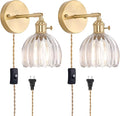 Shenmoyl Plug in Wall Sconce, Transparent Tulip Glass Lampshade Wall Light by Shenmoyl