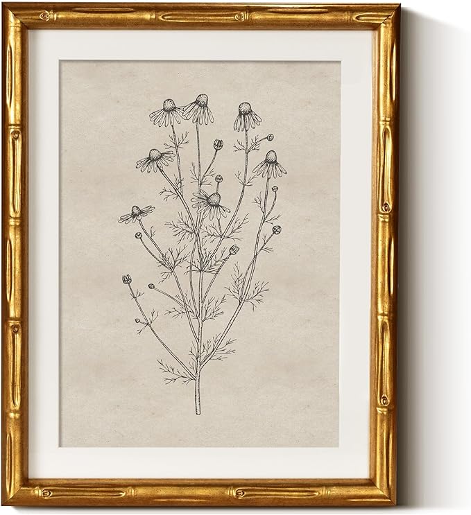 InSimSea Gold Bamboo Framed Canvas Wall Art, Minimalist Chamomile Botanical by InSimSeaArt