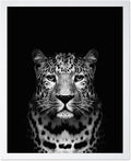 Poster Master Vintage Photograph Poster by PosterMaster