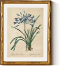 InSimSea Gold Bamboo Framed Canvas Wall Art, Retro Lily Botanical Prints by InSimSeaArt