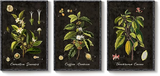 Large Vintage Framed Botanical Wall Art, 3 Piece Dark Green Plant Canvas Prints - Image 9