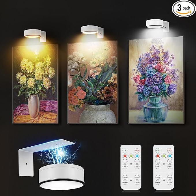 Arixinks 3Pcs Battery Picture Lights, Remote Painting Light by Arixinks