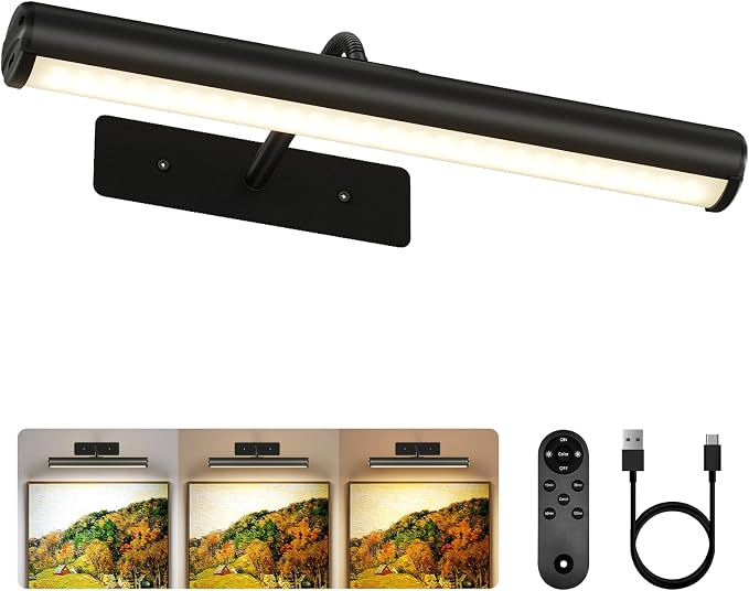 EZVALO 13-Inch Wireless Picture Light, 4000mAh Rechargeable Battery LED Art by EZVALO