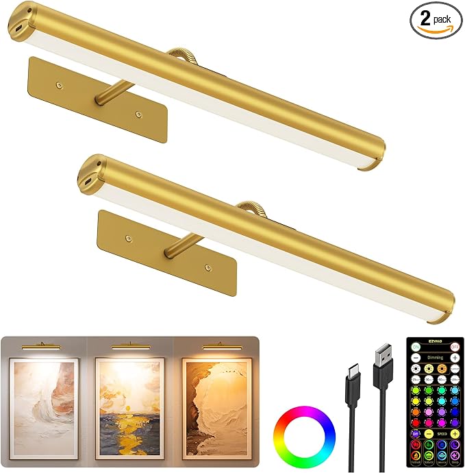EZVALO 13in Picture Light for Wall, 4000mAh Rechargeable Art Light by EZVALO
