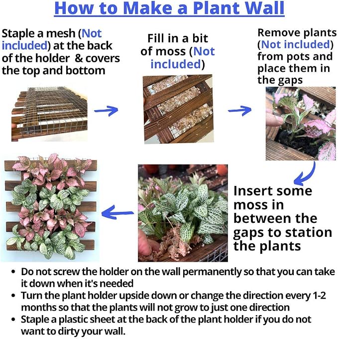ShopLaLa Wall Planter - Image 5