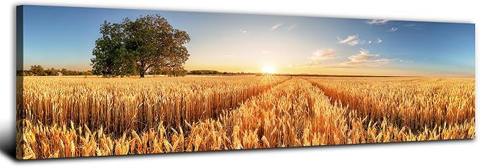 Sunset Forest Wall Art Nature Wheat Field Landscape Pictures Wall Decor by AREBOLOLLC