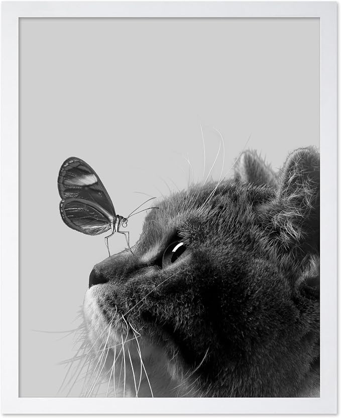 Poster Master Butterfly on Cat Print by PosterMaster