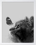 Poster Master Butterfly on Cat Print by PosterMaster