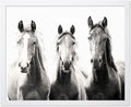 Poster Master Vintage Photograph Poster by PosterMaster