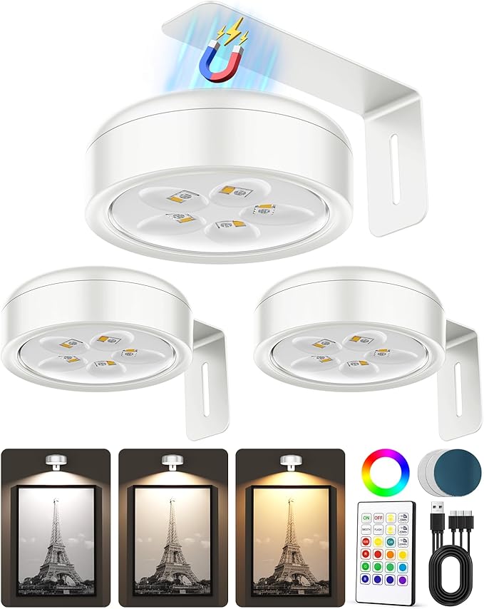 Picture Lights for Wall, Wireless 2000mAh Rechargeable Magnetic LED Puck Lights by ERMTCTSWallLights