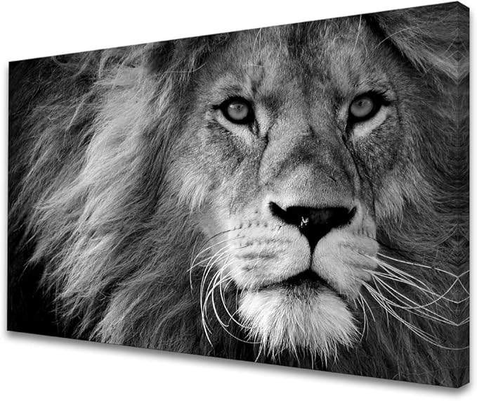 Baisuart D0169 Modern Giclee Canvas Prints Wall Art Stretched Artwork Black and by Baisuart