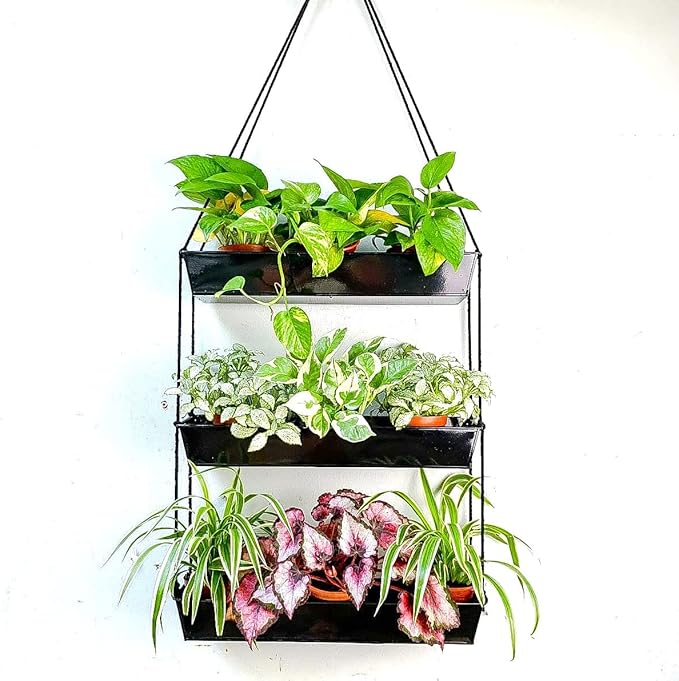 LaLaGreen 16 Inch Wall Mounted Tiered Planter by L%C3%A1L%C3%A1Green