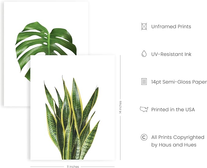 HAUS AND HUES Plant Photo Set of 4-11x14 - Image 2