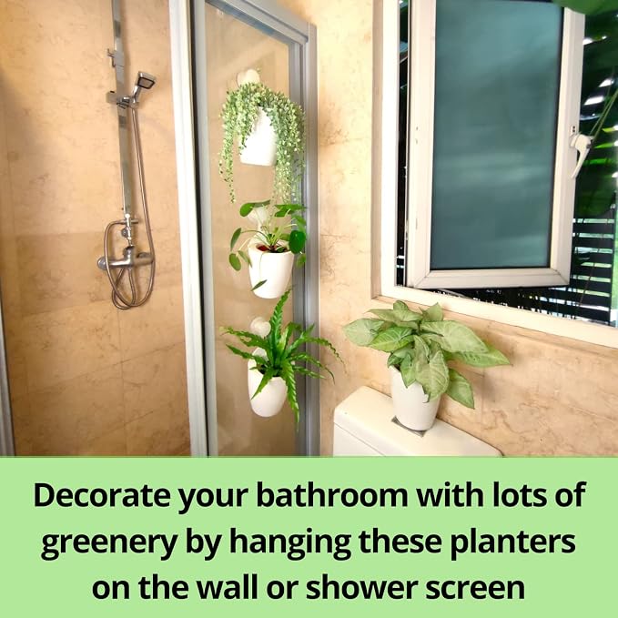 LaLaGreen Wall Mounted Planters - Image 8