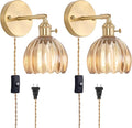 Shenmoyl Plug in Wall Sconce, Amber Tulip Glass Lampshade Wall Light Plugin by Shenmoyl