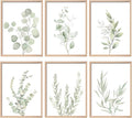 Botanical Plant Wall Art Boho Decor Prints Light Green Eucalyptus Leaf Picture by NCYEL