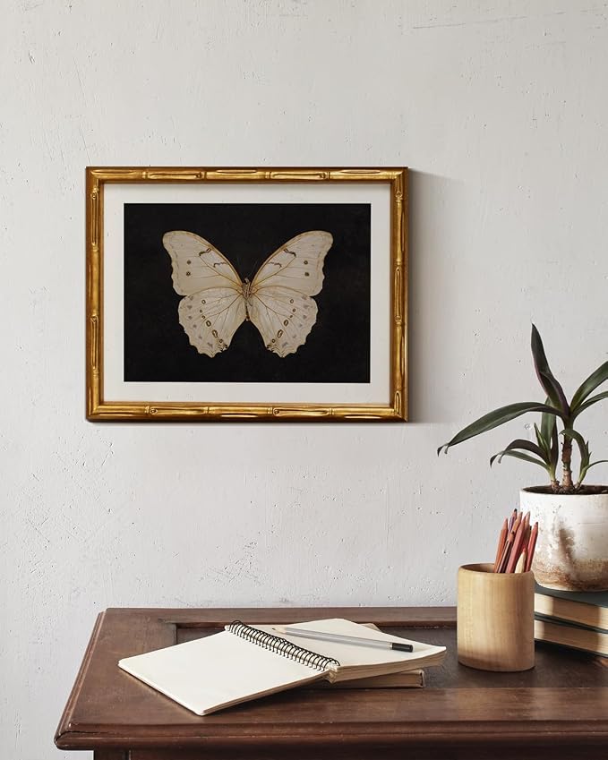 InSimSea Gold Bamboo Framed Canvas Wall Art, Retro White Butterfly Animal - Image 6