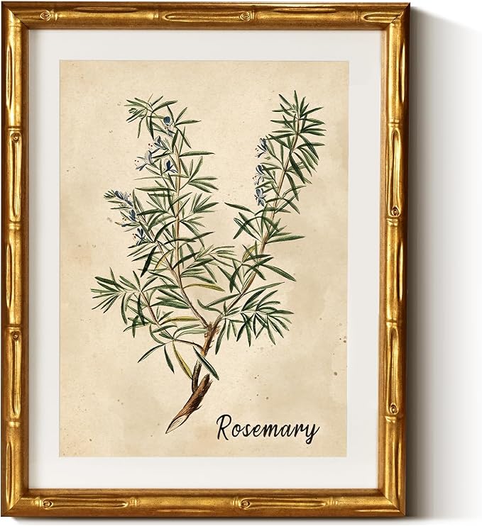 InSimSea Gold Bamboo Framed Canvas Wall Art, Retro Herbs Rosemary Botanical by InSimSeaArt