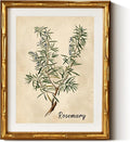 InSimSea Gold Bamboo Framed Canvas Wall Art, Retro Herbs Rosemary Botanical by InSimSeaArt
