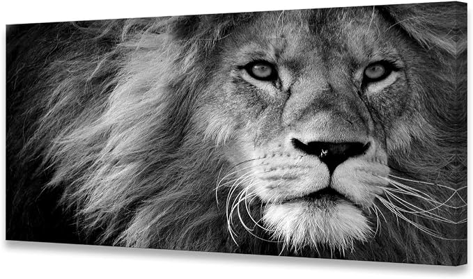 Baisuart Modern Giclee Canvas Prints Stretched Artwork Black and White Lion by Baisuart
