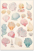 Pink Seashell Posters Coastal Cowgirl Canvas Wall Art Beach House Starfish by Unknown